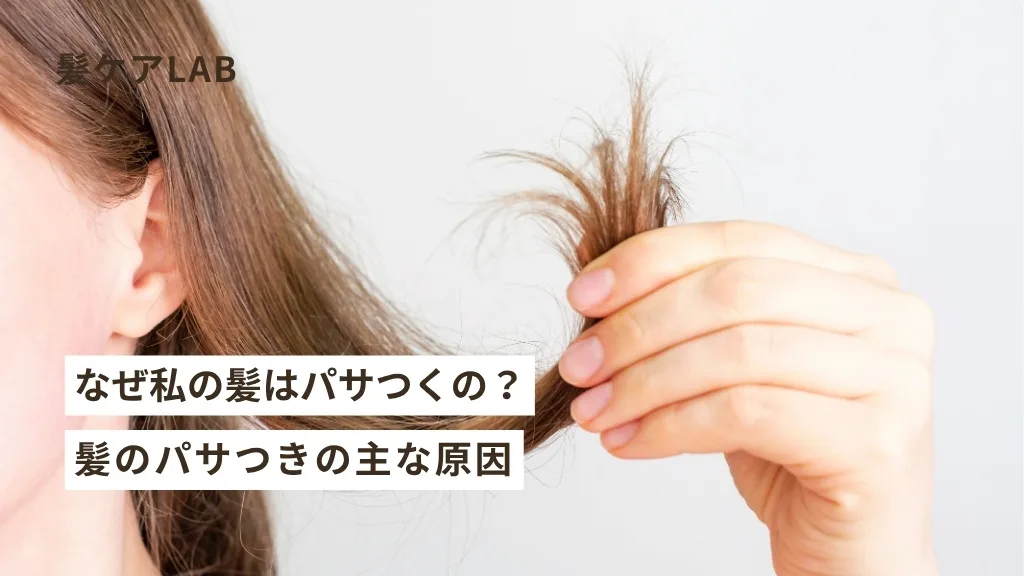 髪のパサつき改善!ヘアオイルの正しい使い方と選び方をプロが徹底解説 髪のパサつき改善!ヘアオイルの正しい使い方と選び方をプロが徹底解説