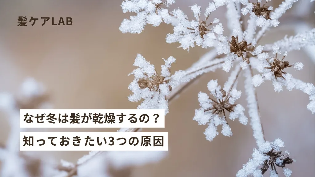 冬 髪 乾燥 対策 おすすめヘアオイル＆ミスト徹底比較