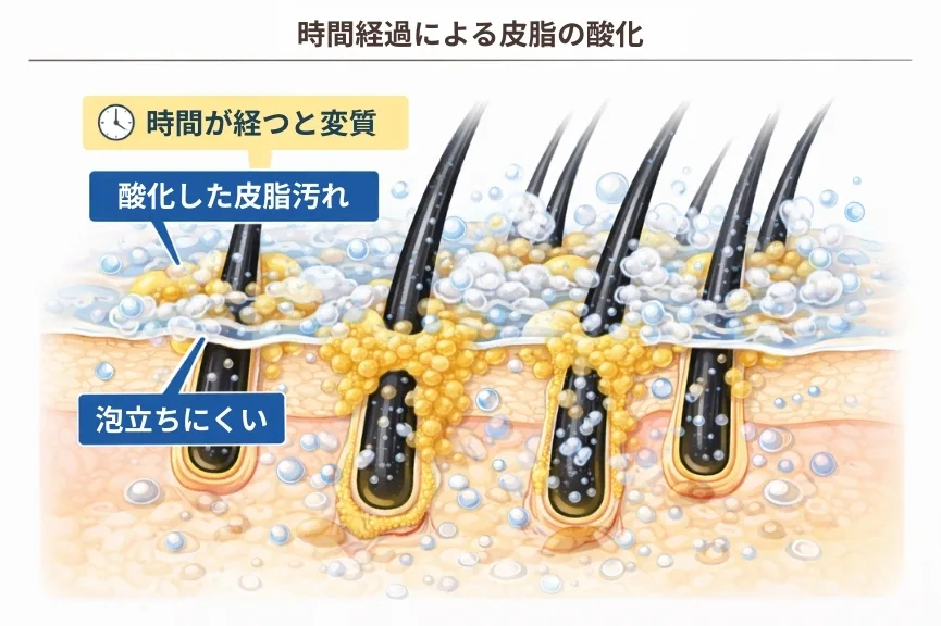皮脂の酸化と泡立ちの変化