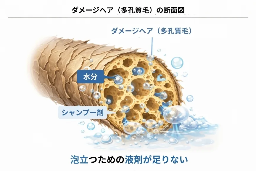 ダメージヘアの断面図