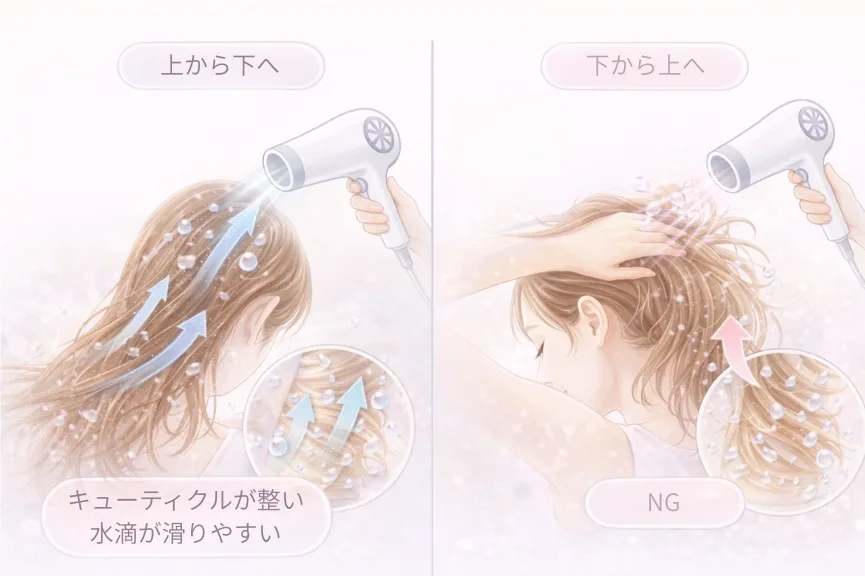 髪の乾かし方の比較